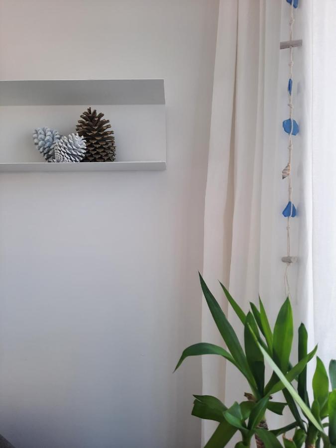 Sitius 5B - NEW seaview apartment with rooftop terrace in historical centre Sitio da Nazaré Exterior foto